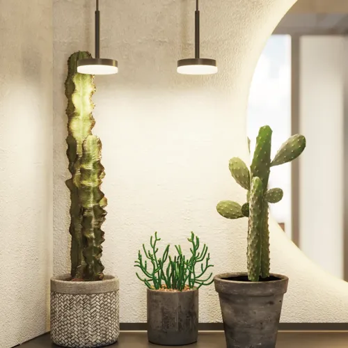 Badezimmerinspiration mit Waschtischunterschrank aus schwarzer Eiche sowie elegantem rundem Spiegel und Waschbecken, stilvollen Accessoires sowie Kaktuspflanzen und Wänden aus rohen Materialien verleihen einen rauen, industriellen und urbanen Look.